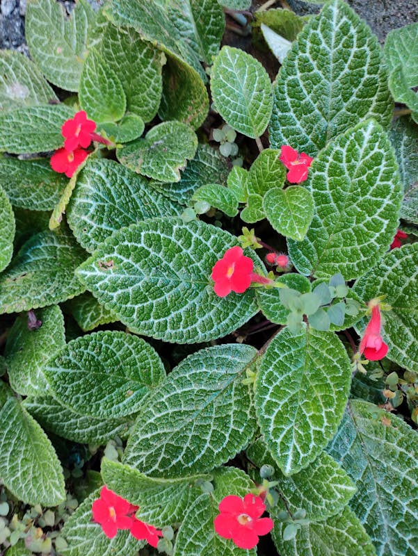 The Best Tips for Sheetrock and Drywall Repairs